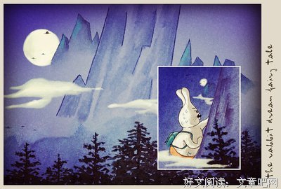 兔子去旅行记