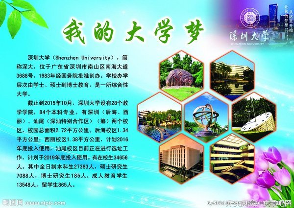 我的大学