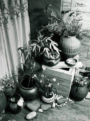 花店路过
