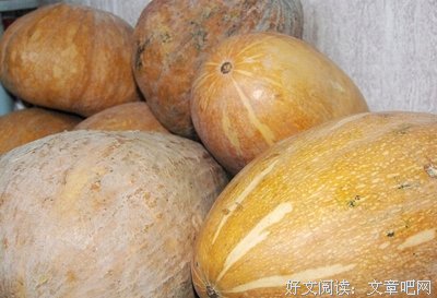 北瓜