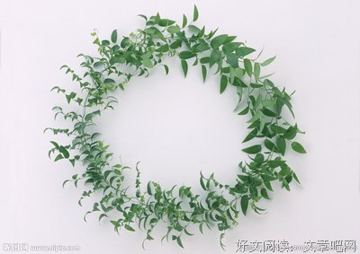 环