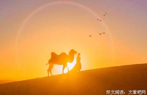 你已亭亭，不忧亦不惧