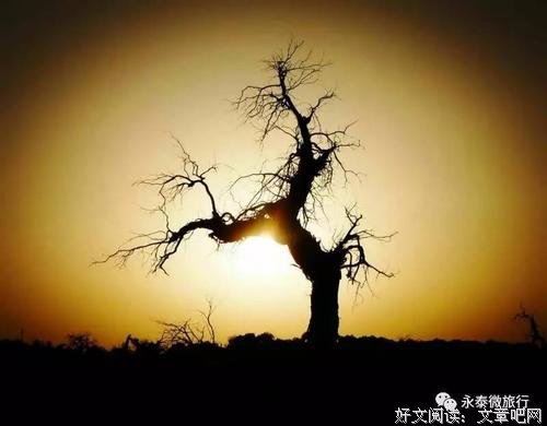 夜，月缺席了吧？