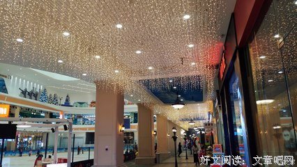 寻找童年的尾巴