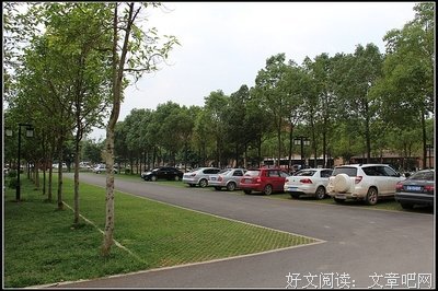 我的红土岁月