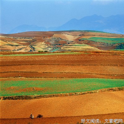 线上宣讲，红土在行动