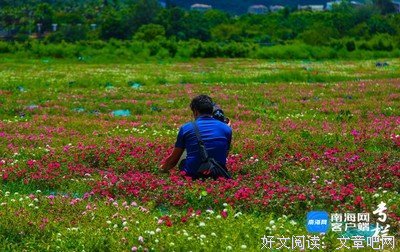 揭育瑞下乡心得