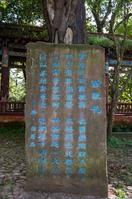  7月24日唐夏景心得