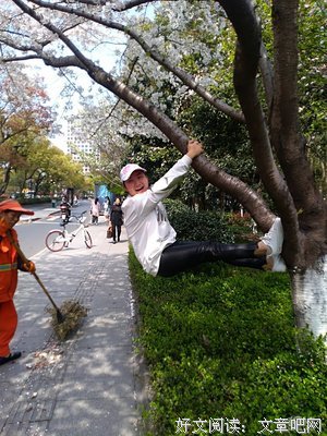 太阳和希望