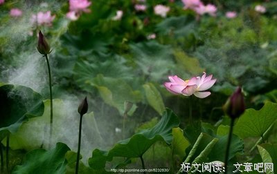 悠香