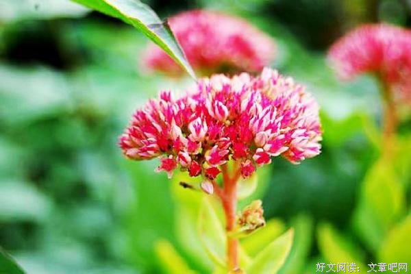 无论处境如何，请你一定要活成自己想要的模样