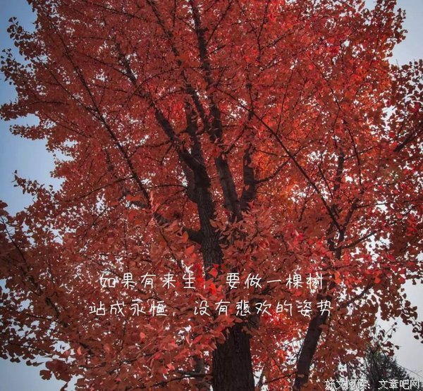 如果以后要离婚，是否会后悔这段婚姻呢