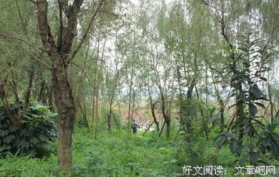 定好了，下周末去白鹭湾