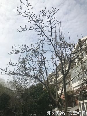 生命需要静时光，需要去感悟