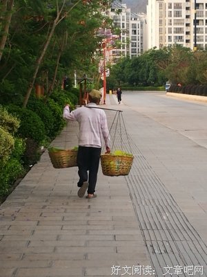 那位卖菜的大叔走了
