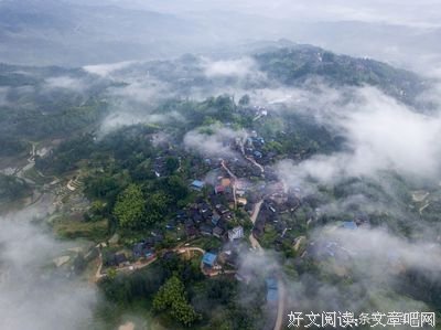 我欢喜立夏来临前夕的雨后风景
