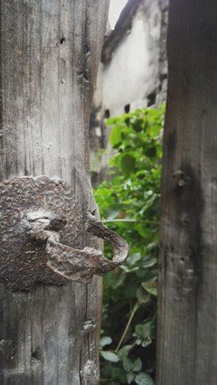 虚掩的