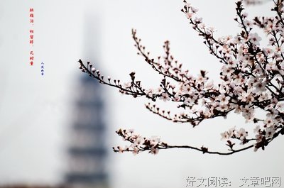 胭脂泪