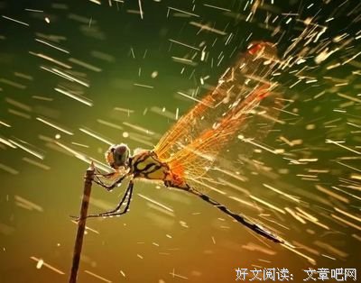 夏天记