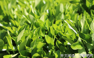 带着孙子待出嫁的女人