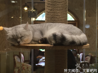 小世界