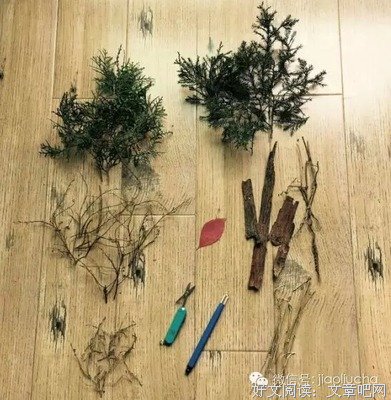 提壶人