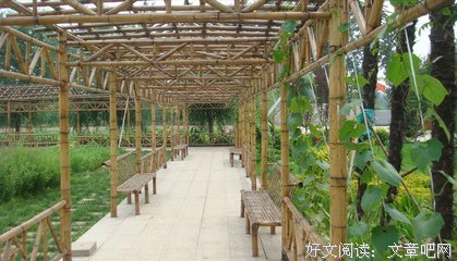 这座城的人
