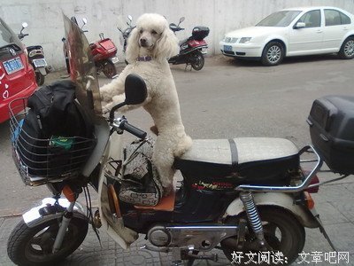我笑了