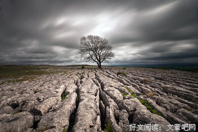珍惜