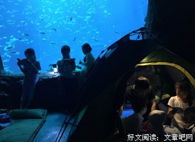 住在海底的鱼