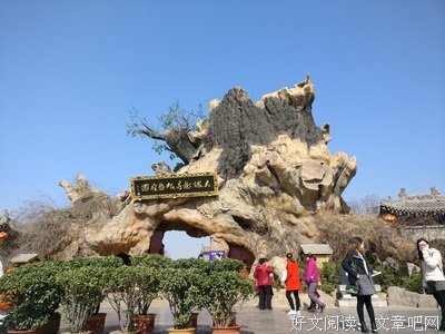 说说洪洞大槐树的根