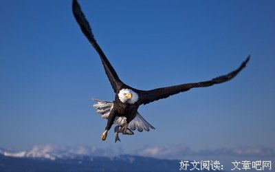 被丈夫宠成公主后，家人恨不得与我脱离关系，说出来让你们评评理