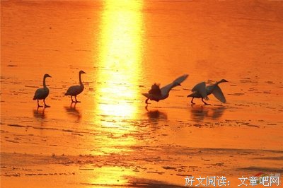 愤怒：我很可怜，需要被爱。