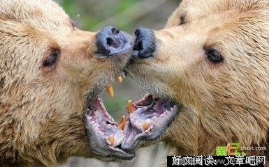 思考，是世界上最有趣的事