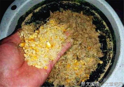 一条出走的鱼