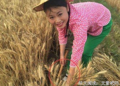 姐姐疯了后，我接手了她的富男友