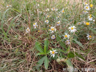 能陪你到老的人，都有这个征兆（大实话）