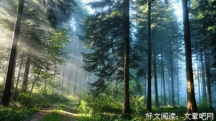 上不了名媛就上厕所！我为什么笑得如此淫荡？