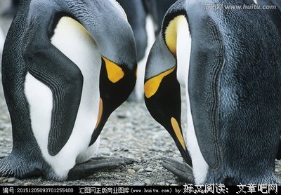 一对亲姐妹同时爱上我，15年了，孽缘还没结束。