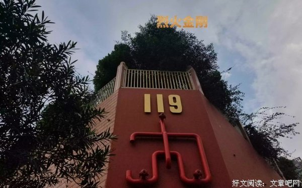 逃离AA制度，不顾家，妻子抑郁焦虑，她做了个决定震惊世界
