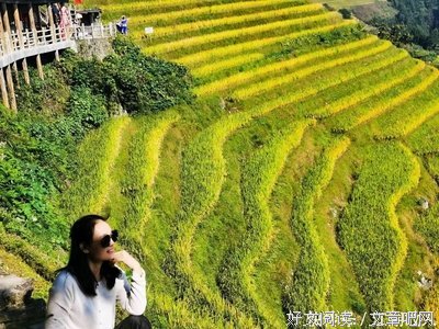 把握当下，撂爪就忘