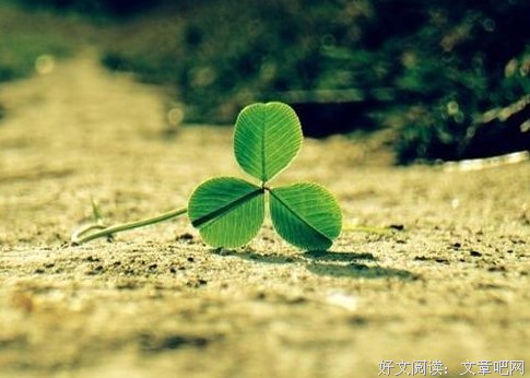提高幸福感的八件小事