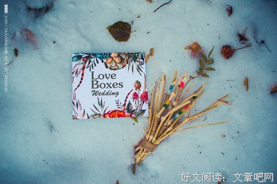 秋天的花何必期待春天开