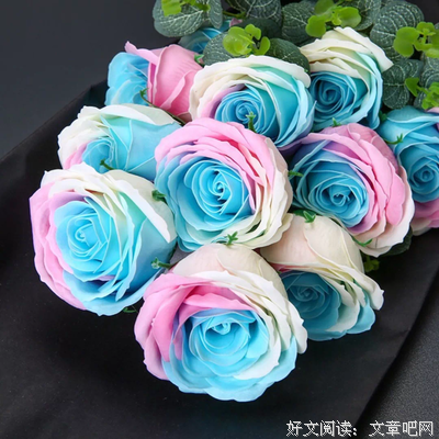 秋日，花落无声