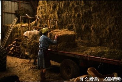 我忧伤，我不够铁石心肠