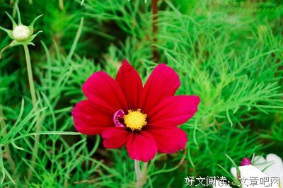 玄谈 “流氓文化”