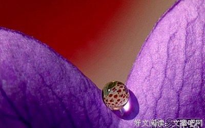 买一份好心情