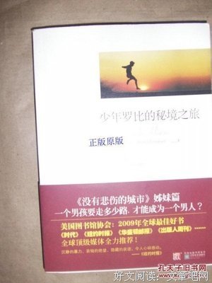 《少年罗比的秘境之旅》读后感
