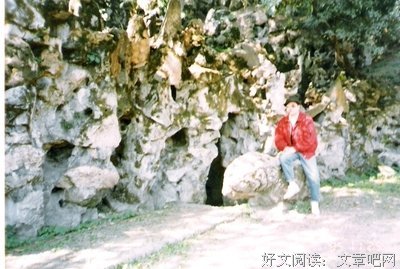童年的百草园