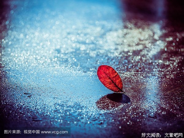 雨